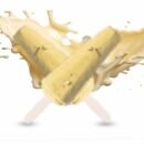 NUTRAXPM Concentrate Whey Protein – High Quality Protein | 25.2g Protein | 5.7g BCAA | 2.2 lbs - Mava-Kulfi